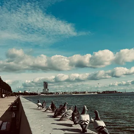 Seatowers 17 公寓 *